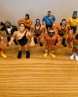 12 Action Figure WWF Hasbro Gig serie 1  completa