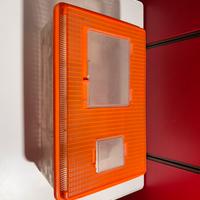 Teca allevamento grilli