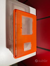 Teca allevamento grilli