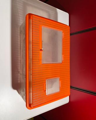 Teca allevamento grilli