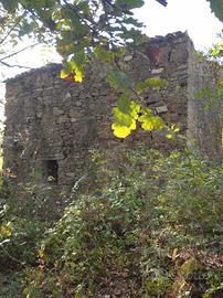 Terreno edificabile