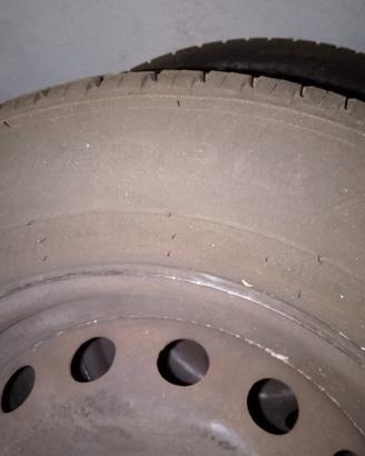 gomme estive 