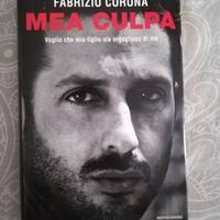 MEA CULPA, Fabrizio Corona, 2014