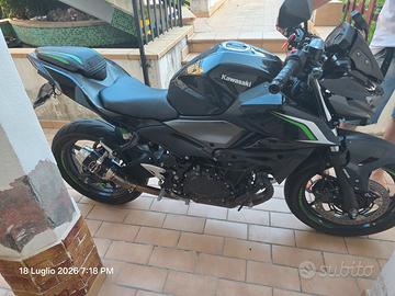 kawasaky z 500 2024