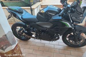 kawasaky z 500 2024