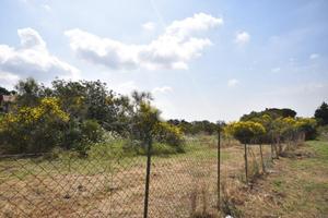 TER. RESIDENZIALE A MASCALUCIA