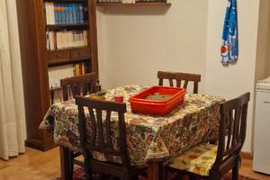 Quadrilocale con giardino cortilato