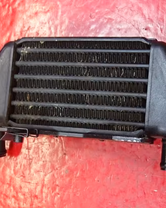RADIATORE OLIO SX DX BMW R850R