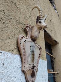 Testa di camoscio da parete