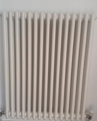 2 termosifoni in acciaio bianchi