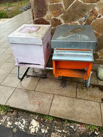 2 Arnie + kit apicoltore