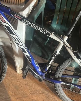 Mtb carnielli