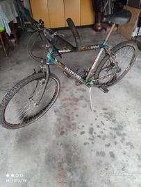 Bicicletta MTB