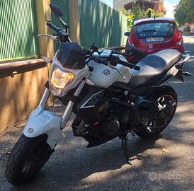 BENELLI BN302 SPORT 2016