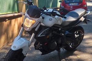 BENELLI BN302 SPORT 2016