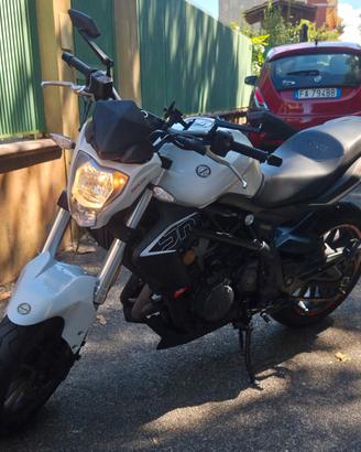 BENELLI BN302 SPORT 2016