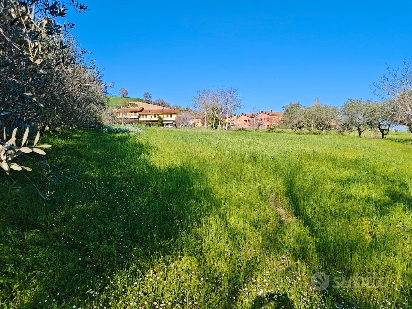 Terreno agricolo ed edificabile - Vista 3