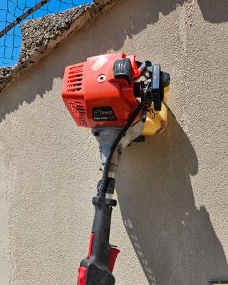 Decespugliatore progreen pgc450