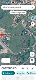 Terreno Uliveto vicino al mare
