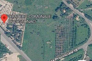 Terreno Uliveto vicino al mare