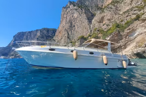 Fiart 35
