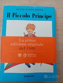 Il piccolo Principe
