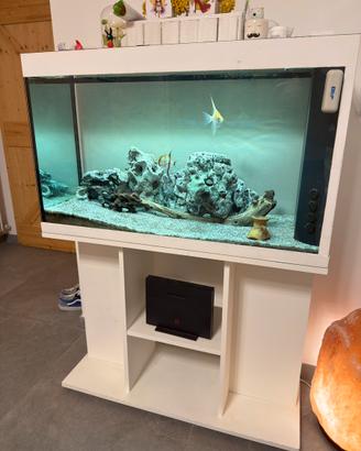 Acquario artigianale