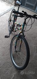 bicicletta