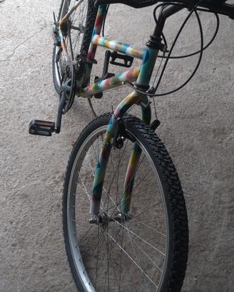 bicicletta