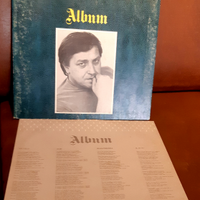 Lp 33 Pierangelo Bertoli , Album, 1981