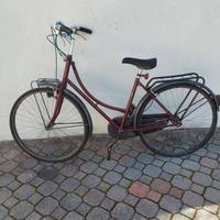 Bici da donna.
