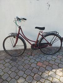 Bici da donna.