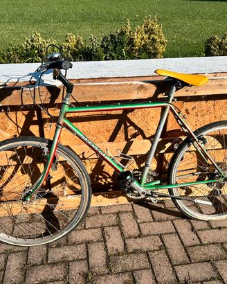 Bici MBT usata