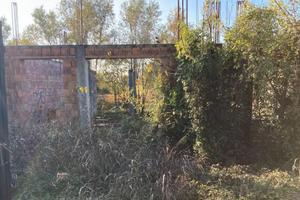 RGE 245/2024 Tribunale Verona - Lotto 1)