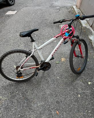Bicicletta