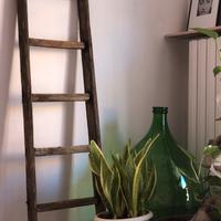 Scala antica e damigiana pugliese