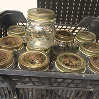 vasetti 4 stagioni bormioli da ml 250 