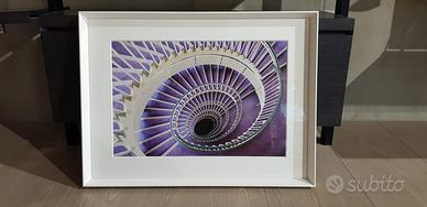 Splendida foto d'autore