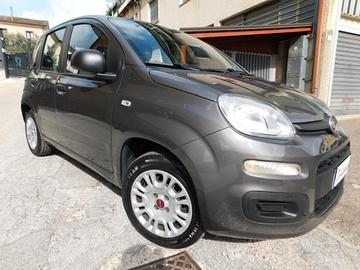 PANDA 1200 FIRE 4Cilindri Eu6 2021