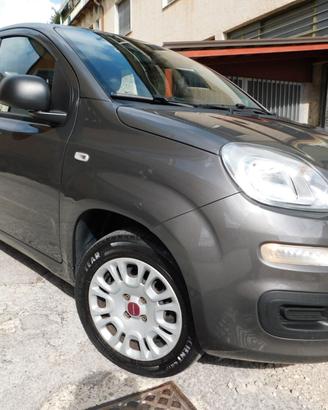 PANDA 1200 FIRE 4Cilindri Eu6 2021
