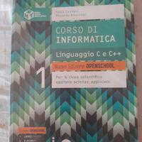 libro di informatica scuole superiori 