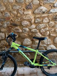 Bici bambino 20’