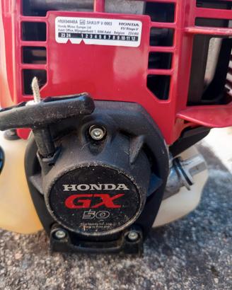 Decespugliatore Euromech GX50 moto