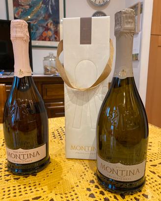 2 bottiglie Montina Franciacorta
