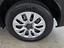 Immagine 10