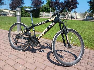 bici MTB ragazzo 24'' Dark Phanter Daytona