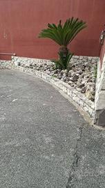 Immobile di 160 m² a Casalnuovo di Napoli