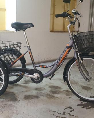 Triciclo per adulti Atlala Kargo