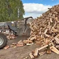 legna da ardere secca