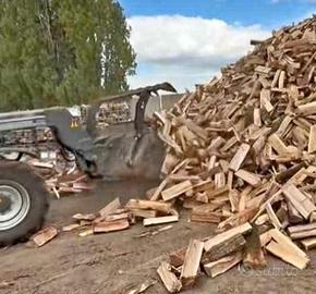 legna da ardere secca